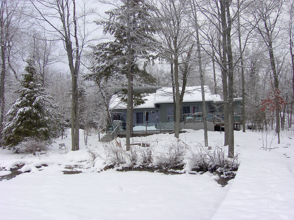 winter